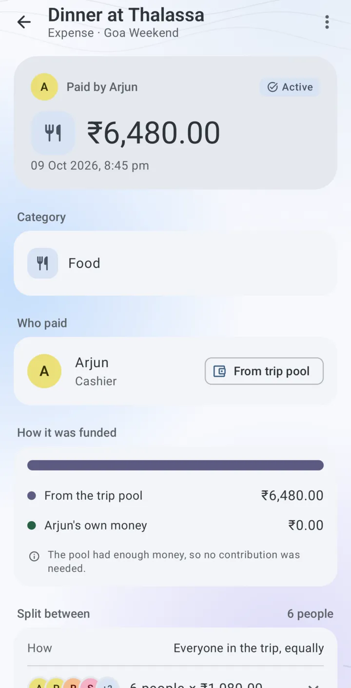 Expense detail showing who paid, how it was funded and how it was split